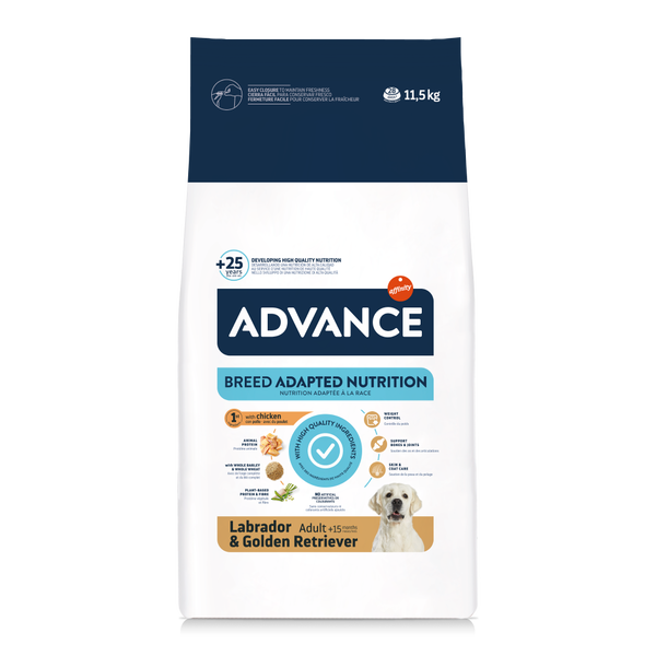 LABRADOR & GOLDEN RETRIEVER