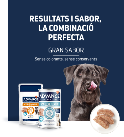 Dietes veterin&agrave;ries