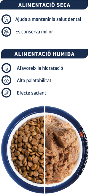 Bol dietas h&uacute;medas