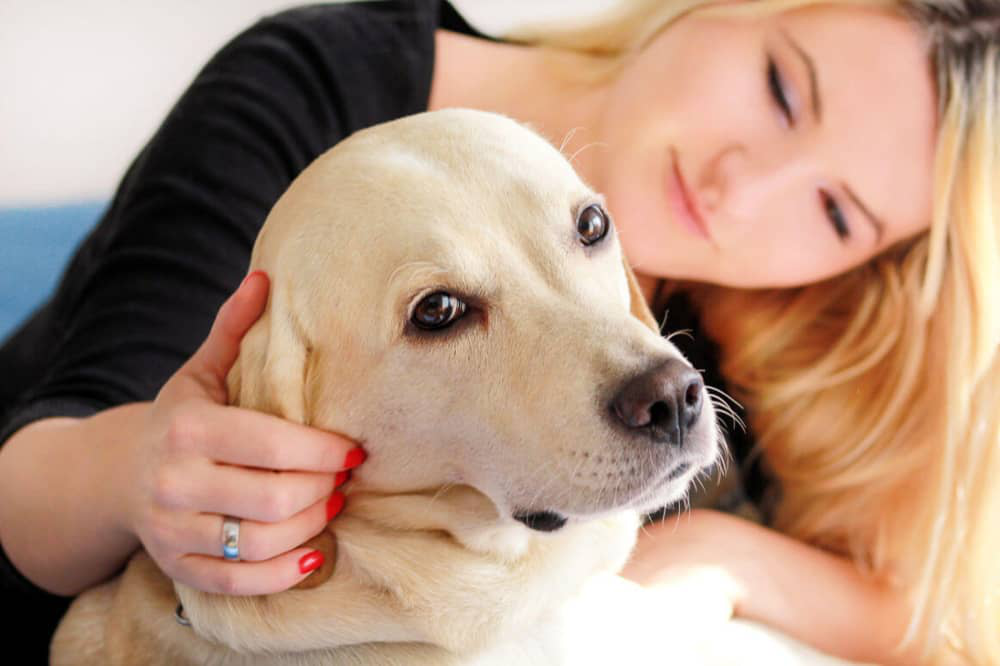 suns-kakā-asinis-002.jpg