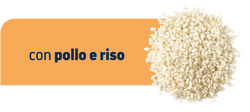GASTROENTERIC MINI