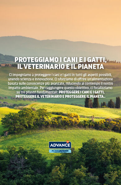 IT - Banner - Sustainability - Desktop.png