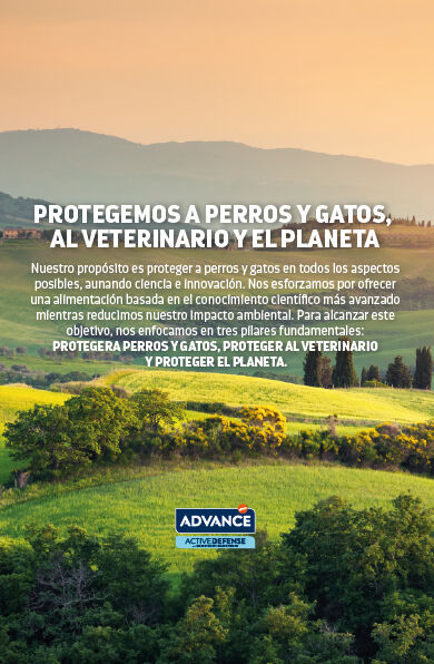 ADV_Banner_Sostenibilidad_MAR2026_ES_DESKTO.jpg