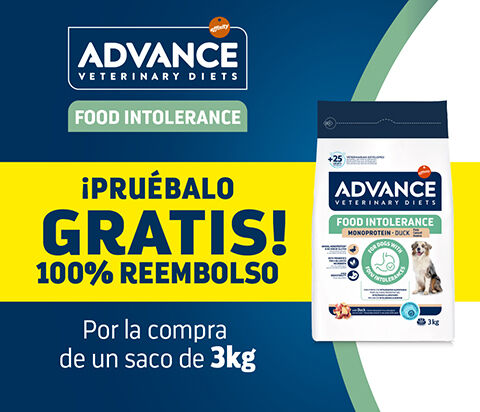 ADV_Banner_Food_intolerance_CASHBACK_480x412-ES.jpg