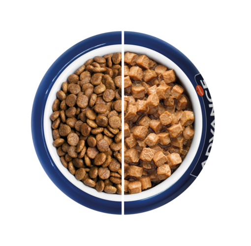 Plato de comida seca vs h&uacute;meda
