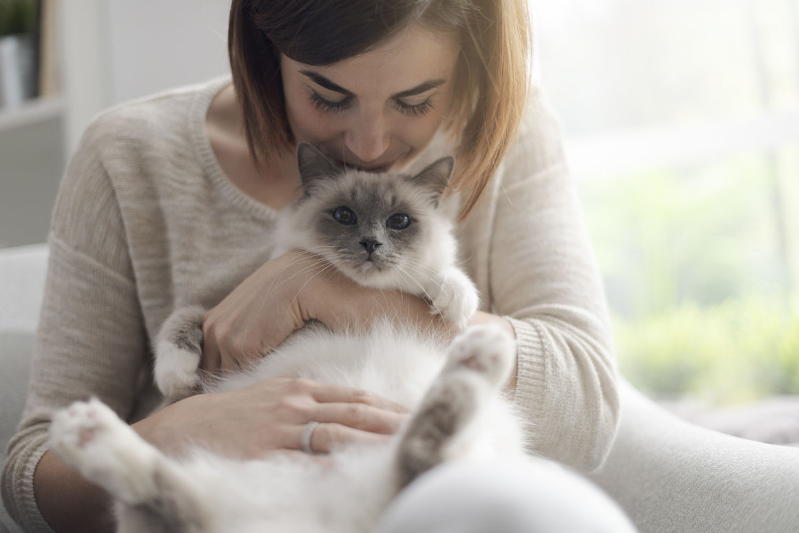 cuando-un-gato-te-elige-2.jpg