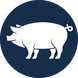 MAIALE COME UNICA FONTE DI PROTEINA ANIMALE