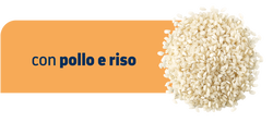 GASTROENTERIC
