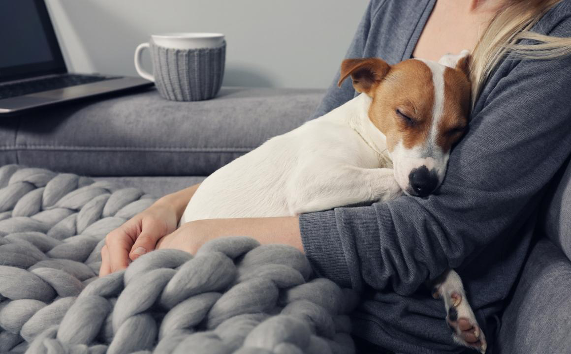 Enantyum para perros: &iquest;es seguro?