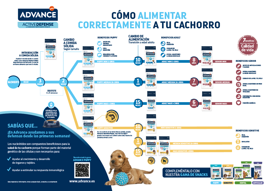 ADV miniatura poster puppy.png