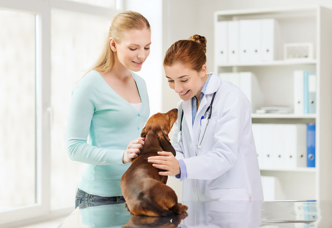 diabete-chez-le-chien-2.jpg