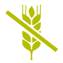 Sin gluten