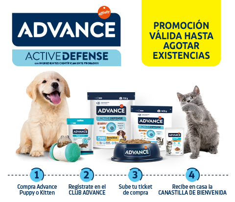 Promo_cat_Dog_Canasta_Regalo.png