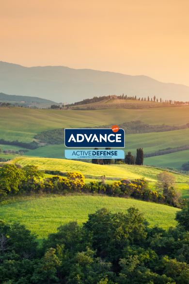 Sustainability banner type landing for desktop.png