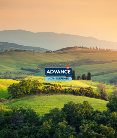Sustainability banner type landing for desktop.png