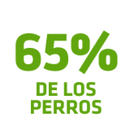 Aliento más fresco