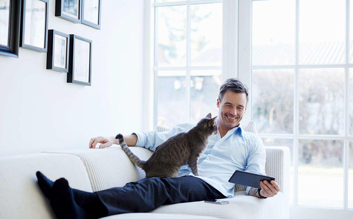 Mal aliento en gatos: &iquest;a qu&eacute; se debe?