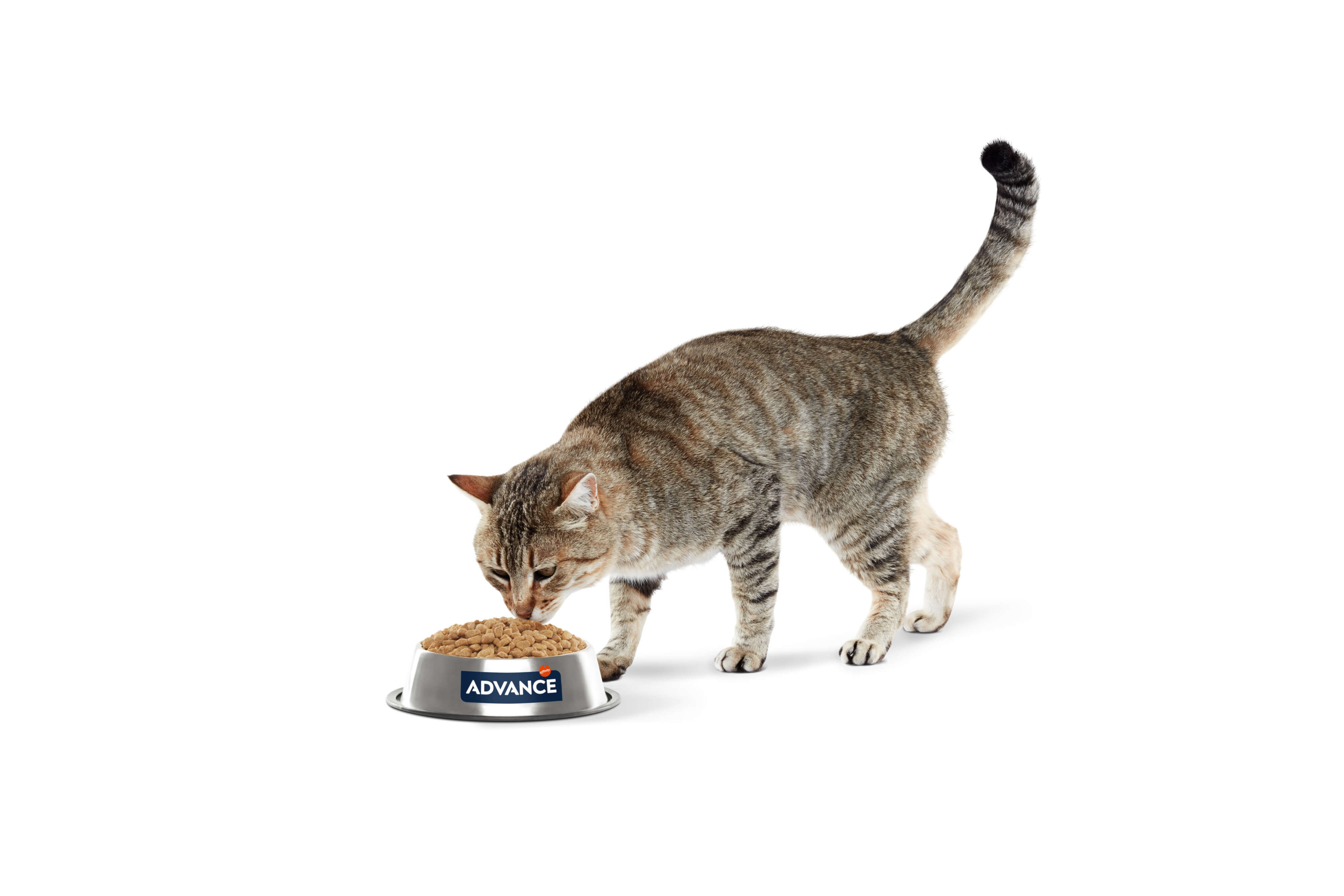 kat-eet-niet-002.jpg