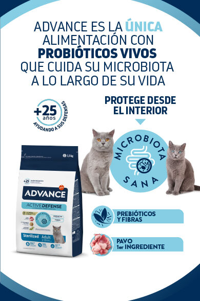 ADV-BANNERS-WEB-2025_DESKTOP-CAT-ES.jpg