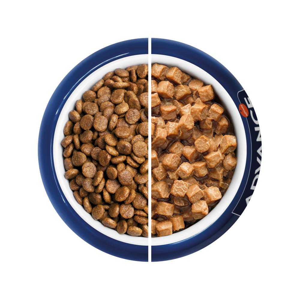 Plato de comida seca vs h&uacute;meda
