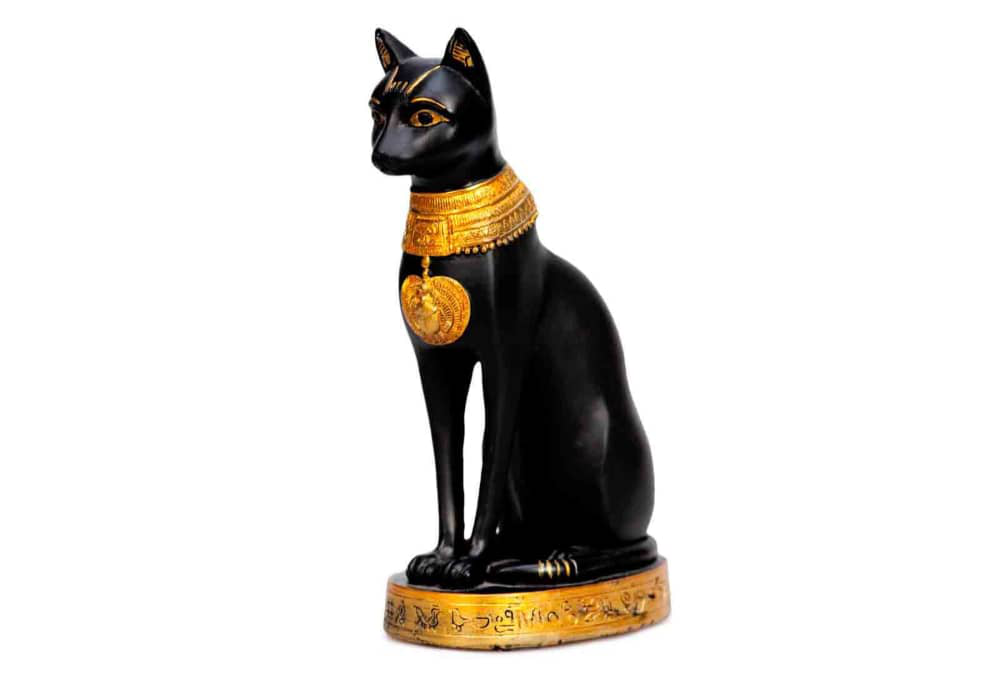de-donde-vienen-los-gatos-003.jpg