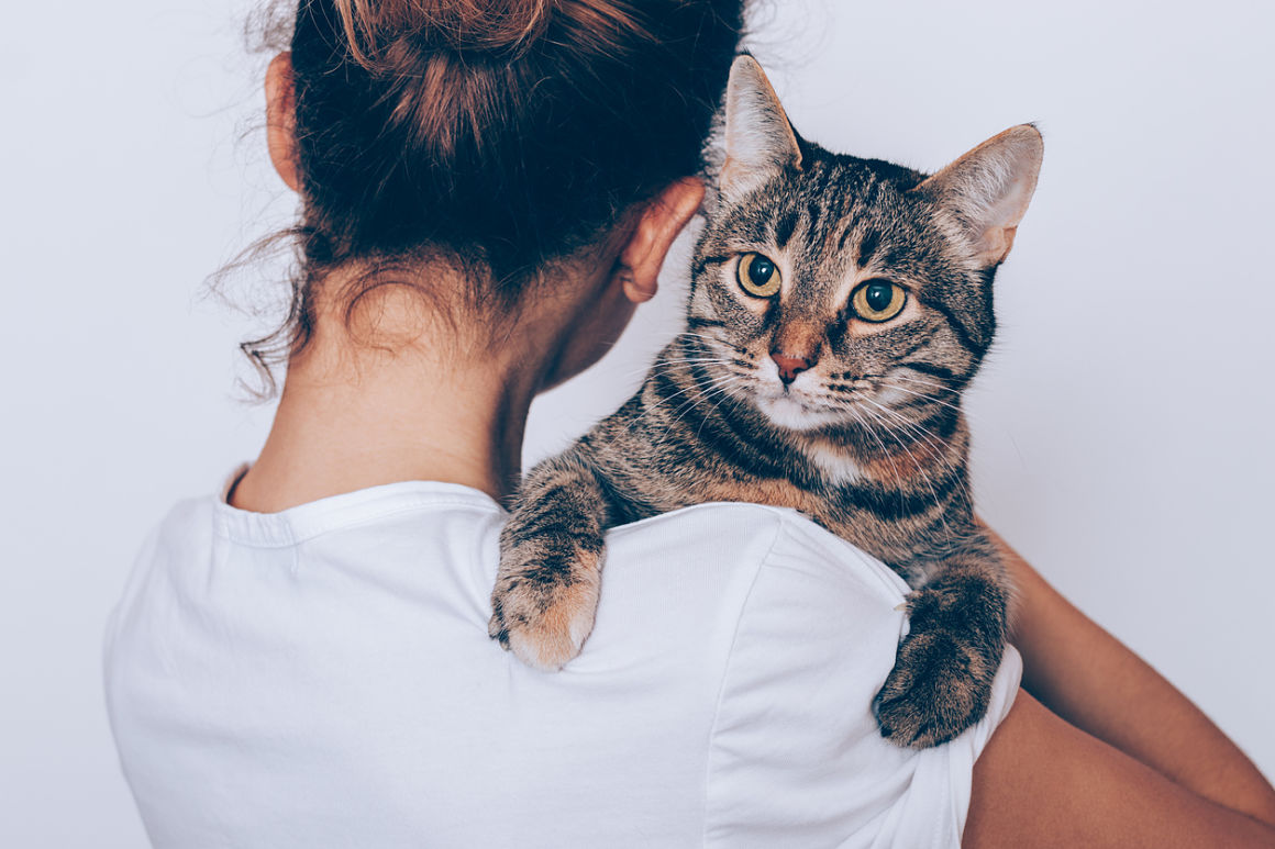 betadine-gatos-2.jpg