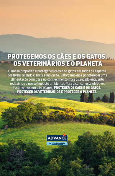 PT - Banner - Sustainability - Desktop.png