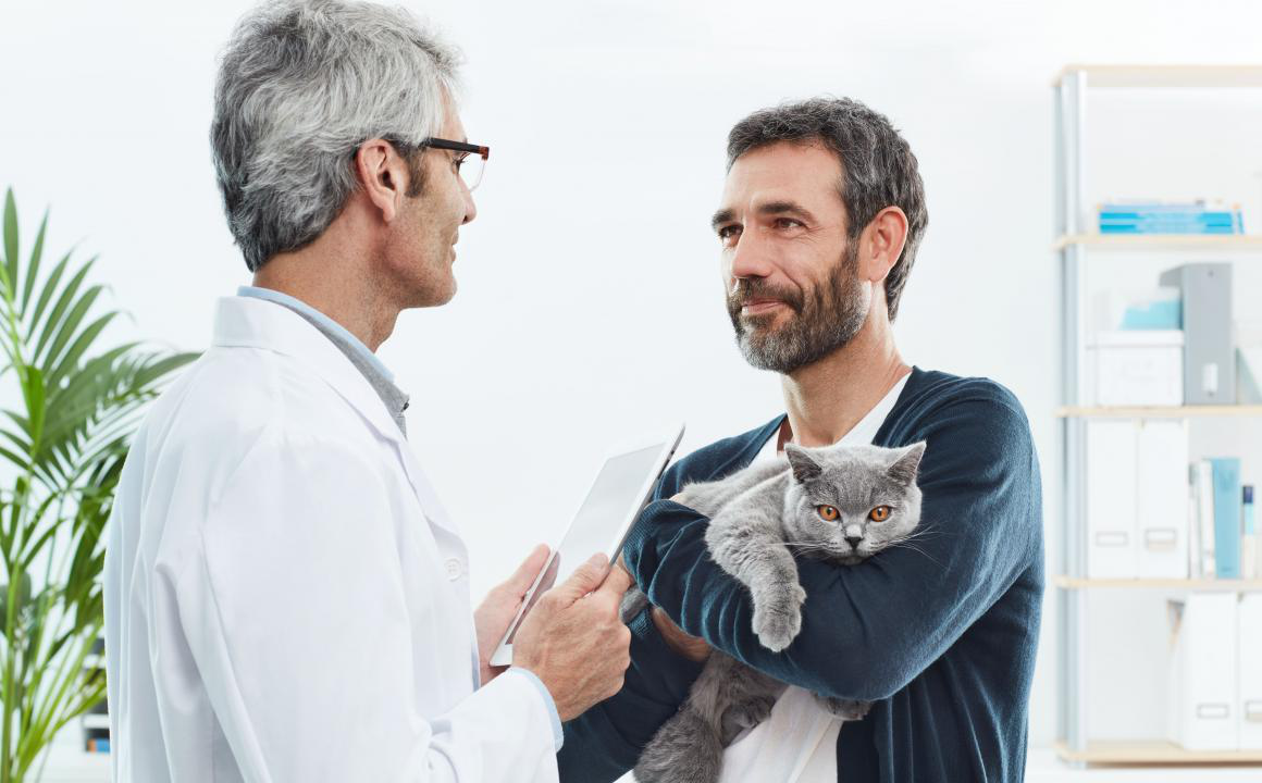 Il mio gatto trema: ha freddo o &egrave; malato?