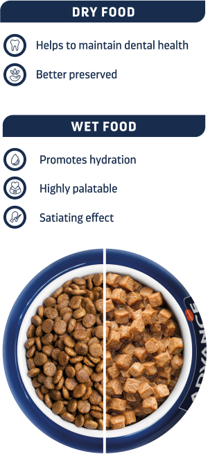 Bowl wet diets