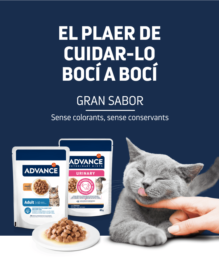 Veterinary diets
