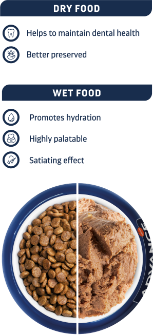 Wet diets bowl