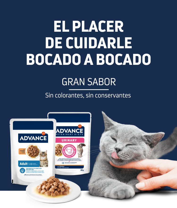 Dietas veterinarias