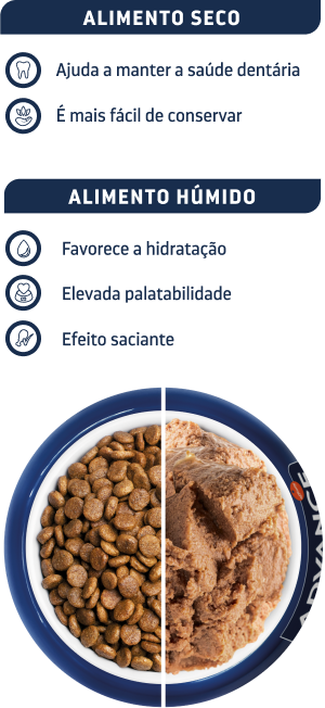 Bowl dieta h&uacute;mida