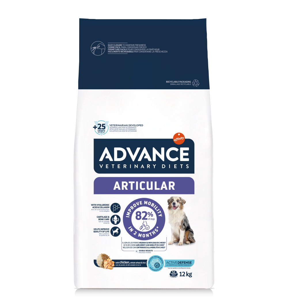 ARTICULAR