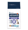 ARTICULAR