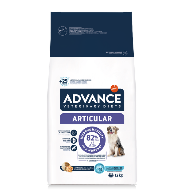 ARTICULAR