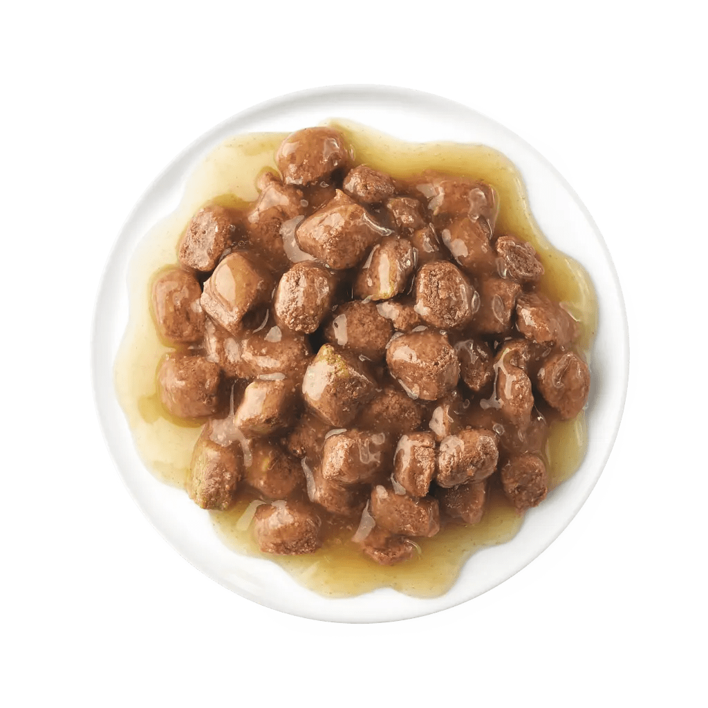 CHUNKS IN GRAVY ADULT WITH CHICKEN