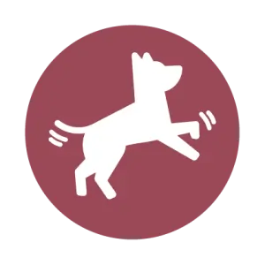 Aide &agrave; am&eacute;liorer sa vitalit&eacute;