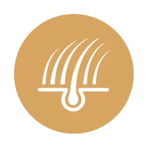 Deriyi korumaya yardımcıdır