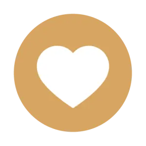 Функціонування серця