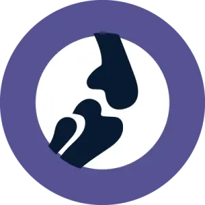 ДОГЛЯД ЗА ХРЯЩОМ