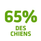 ont une <b>haleine plus fra&icirc;che</b>