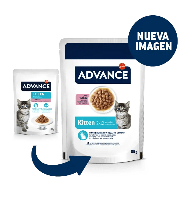 BOCADITOS EN SALSA KITTEN CON PAVO