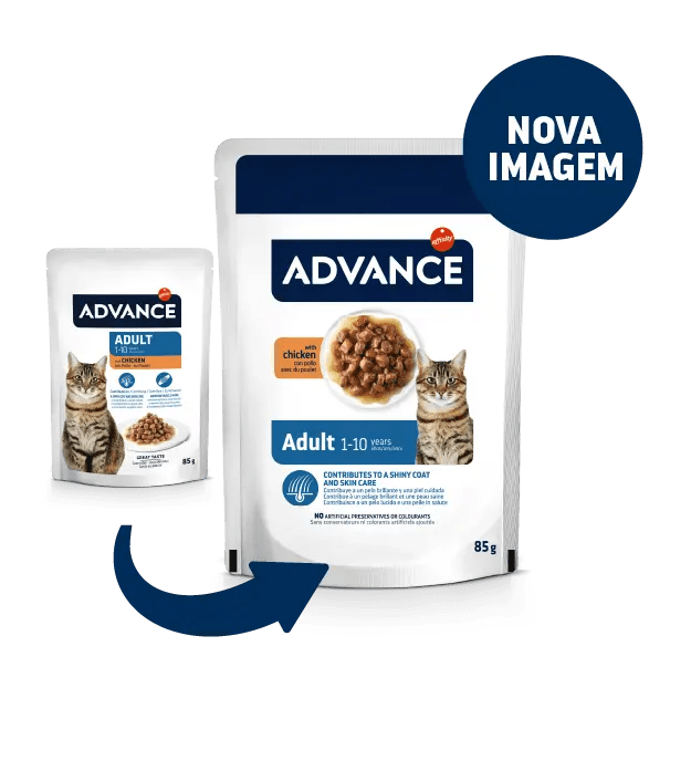 ADULT COM FRANGO EM SAQUETAS