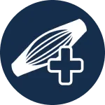 ELEVADO TEOR DE PROTE&Iacute;NA