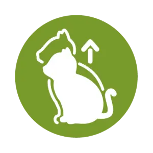 &Upsilon;&gamma;&iota;ή&sigmaf; &alpha;&nu;ά&pi;&tau;&upsilon;&xi;&eta;