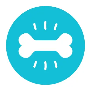 CONTRIBUEIX AL DESENVOLUPAMENT MUSCULAR I OSSI