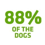 Reduce <b>tartar build-up</b>