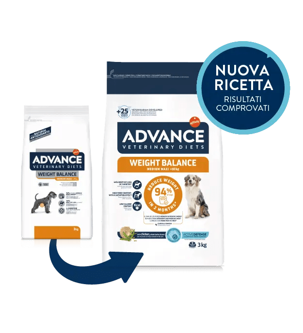 WEIGHT BALANCE MEDIUM / MAXI