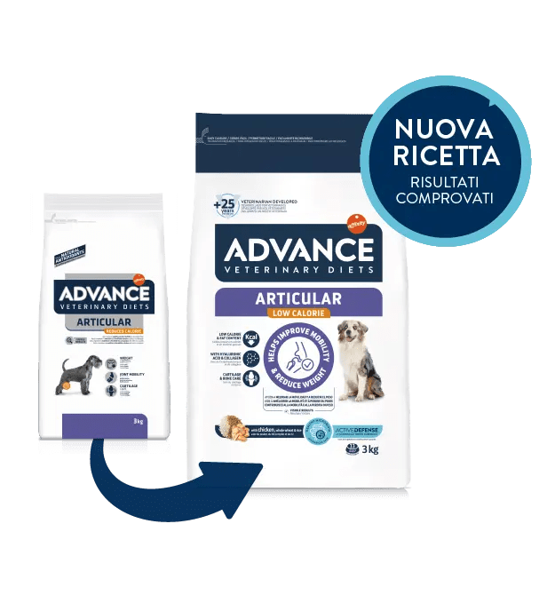 ARTICULAR LOW CALORIE